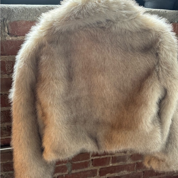 H&M Brown Faux Fur Coat (this season) - Picture 5 of 5